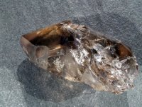 (image for) Smoky Quartz / Amethyst (Brandburg): crystal - Skeletal Enhydro
