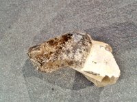 (image for) Smoky Quartz: crystal - DT Elestial Sceptre (Namibia)