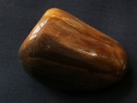 (image for) Petrified (Fossilised) Wood: polished pebble (Madagascar)