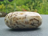 (image for) Graphic Feldspar: polished pebble (Madagascar)