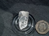 (image for) Danburite - Clear: crystal - Elestial