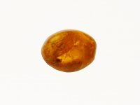 (image for) Amber: polished oval 'drop' (Dominican Republic)