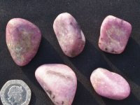 (image for) Lepidolite Quartz: tumbled stones (medium)