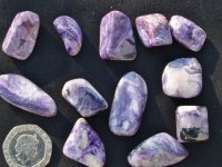 (image for) Charoite - A grade: polished stones (large)