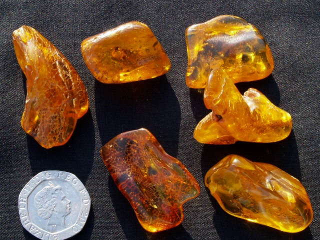 (image for) Amber: polished pieces (small) - Click Image to Close