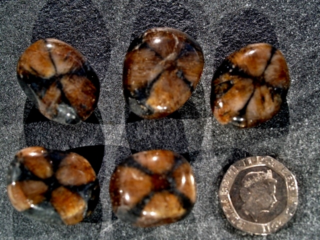 (image for) Chiastolite / Andalusite: tumbled stones - Click Image to Close