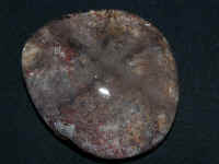 lepidocrocite in quartz