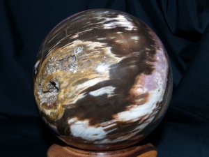 Petrified (Fossilised) Wood: sphere - 11.5cm (Madagascar)