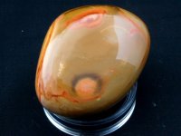 Gaia (Polychrome) Jasper: polished pebble (Madagascar)