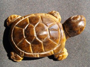 Tiger Eye: Tortoise carving