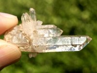 Smoky Quartz (Brandburg): crystal cluster - DT