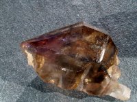 (image for) Smoky / Amethyst / Clear Qzt (Brandburg): crystal - Enhy Sceptre