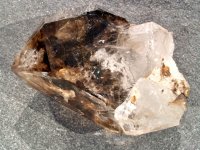 (image for) Smoky / Clear Quartz (Brandburg): crystal - Phantom Sceptre
