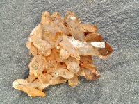 (image for) Smoky Quartz: crystal cluster -Manifestation Sceptre (Namibia)
