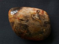 Petrified (Fossilised) Wood: polished pebble (Madagascar)