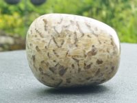 (image for) Graphic Feldspar: polished pebble (Madagascar)