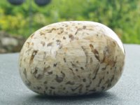 Graphic Feldspar: polished pebble (Madagascar)