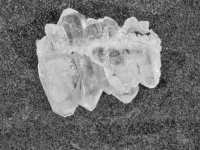 (image for) Faden Quartz: crystal cluster