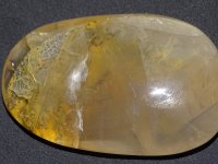 Dendritic Quartz: polished pebble (Madagascar)