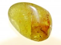 Apatite - Golden: polished crystal