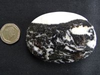 (image for) Zebra Jasper: palmstone