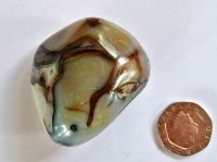 Agate - Grey Banded (Shantilite): polished pebble (Madagascar)