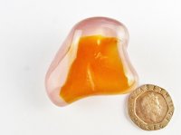 (image for) Chalcedony - Pink: polished pebble