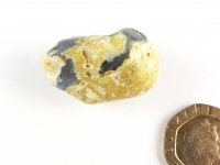 Amulet Stone (Thunder Egg): polished nodule
