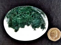 Agate - Moss: polished pebble