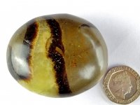 (image for) Septarian Nodule: polished pebble (Madagascar)