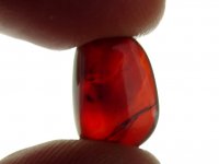 Amber (red): polished nugget