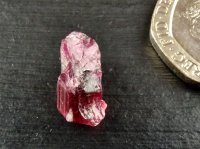 Tourmaline - Red (Uvite): crystal piece (AA grade)