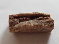 (image for) Petrified (Fossilised) Wood: natural branch