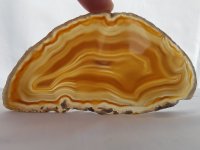 (image for) Agate: polished slice