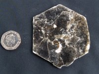Mica - Bronze (Biotite): 'B' grade plates (medium)