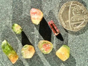 Tourmaline - Watermelon: crystals - A grade (xsmall)