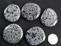 Obsidian - Snowflake: palmstones (medium)