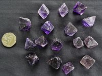 (image for) Fluorite - Purple (dark): crystal octahedrons