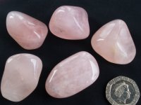 Rose Quartz: tumbled stones (large)