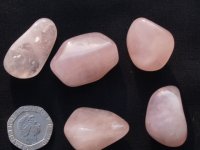 Rose Quartz: tumbled stones (small)