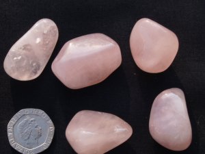 Rose Quartz: tumbled stones (medium)