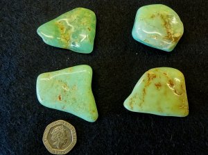 Chrysoprase: polished pieces (large)