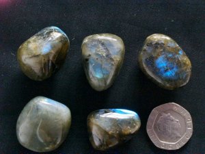 Labradorite : tumbled stones