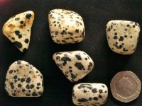 Dalmation Stone: tumbled stones