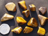 (image for) Tiger Eye: tumbled stones