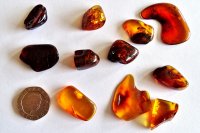 Amber: polished pieces (xsmall)