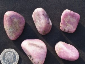 Lepidolite Quartz: tumbled stones (medium)