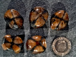Chiastolite / Andalusite: tumbled stones
