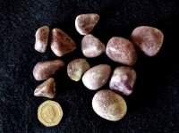 Lepidolite - A grade: tumbled stones (large)