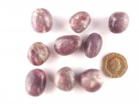(image for) Lepidolite with Rubellite: tumbled stones